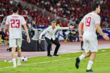 Herve Renard Diminta...