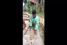 Jagoannya Kalah Pilkada...