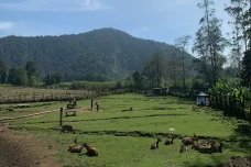 8 Rekomendasi Tempat...