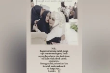 Duka Hari Bahagia, Pengantin...
