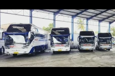 PO Bus yang Bisa Bawa...