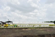 Persemaian Bibit Skala...