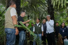 Menhut Raja Juli Siapkan...