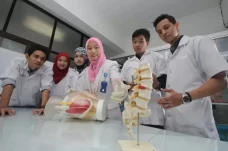 Apa Itu Stase Mayor...