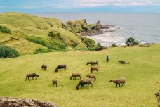 10 Wisata Alam Hidden...