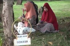 20 Tahun Tsunami Aceh,...
