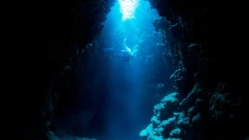 Penemuan Predator Laut...