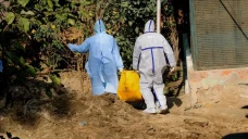 Virus Flu Burung H5N1...