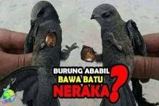 Kisah Burung Ababil...