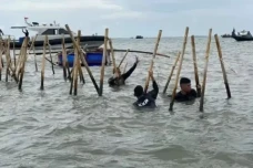 Kasus Pagar Laut Tangerang,...