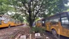 Waduh, Puluhan Bus Sekolah...