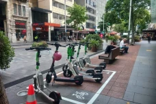 4 Fakta Kota Auckland...
