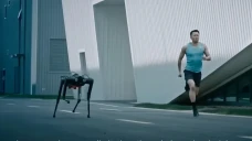 Robot Anjing Black Panther...