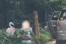 7 Fakta Viral Pengunjung...