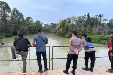 Korban Truk Terjun ke...