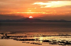 Apakah Air Laut Bisa...