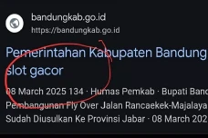 Website Resmi Pemkab...
