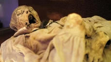 Patogen Misterius yang...