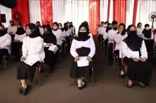 Pengangkatan CASN Dipercepat:...