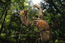 Misteri Dinosaurus Cakar...