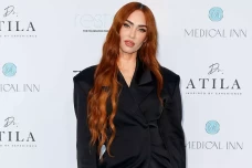 Megan Fox Melahirkan...