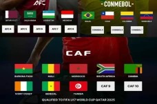 Daftar Sementara Wakil...