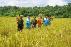 Berkat Pendampingan,...