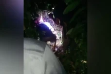 Ngeri, Nenek di Buton...