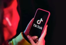105 Bahasa Gaul TikTok...