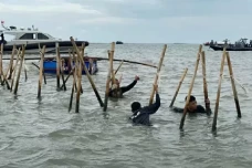 Kasus Pagar Laut Tangerang...
