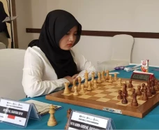 Herfesa Shafira Devi,...