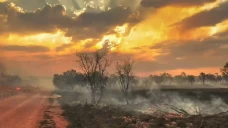 15 Kebakaran Hutan Terbesar...