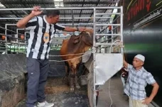 Beli Mobil Bekas Langsung...