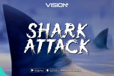 Shark Attack: Teror...