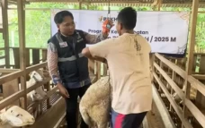 Rayakan Iduladha 1446...