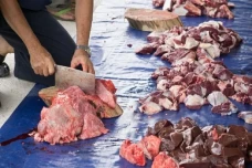 Daging Kurban Tidak...