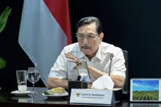 Hilirisasi Kemenyan,...