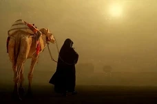 Kisah Hikmah : Cemburunya...