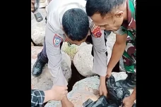 Potongan Paha Manusia...