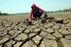 BMKG: Baru 25% Wilayah...