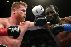 Membandingkan Canelo...
