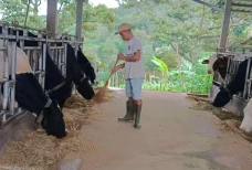 Klaster Susu Mulya Abadi...