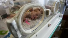 Lebih dari 100 Bayi...