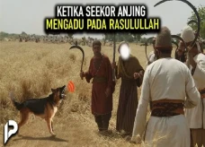 Kisah Sahabat Nabi:...