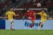 Daftar Pemain Timnas...
