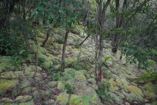 Pesona Gunung Lumut...