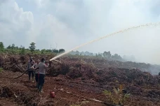 264 Hektare Lahan Gambut...