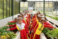 Peringati Hari Anak...