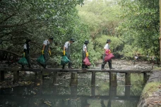 Peringati Hari Sungai...