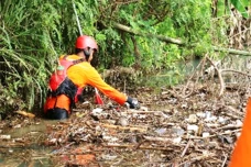 PT South Pacific Viscose...